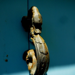 Photographie de heurtoir représentant un cygne - France  - collection de photos clin d'oeil, catégorie portes